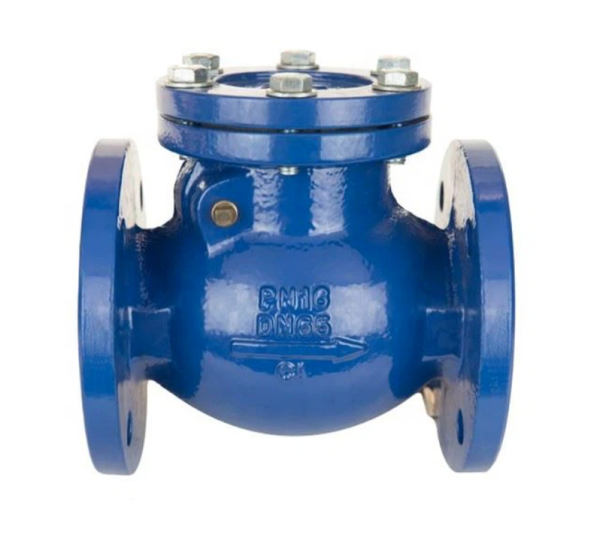 Blue ductile iron flanged swing check valve